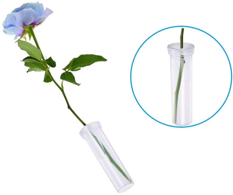 Tirifer 21 Pack 60ml Large Floral Tubes with Rack Holder for Milkweed Cuttings, Raising Caterpillars, Monarchs, Butterflies, Flower Arrangements - Image 3